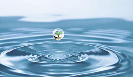 喜報 | 海星股份成功獲評“江蘇省節水型企業(yè)”！