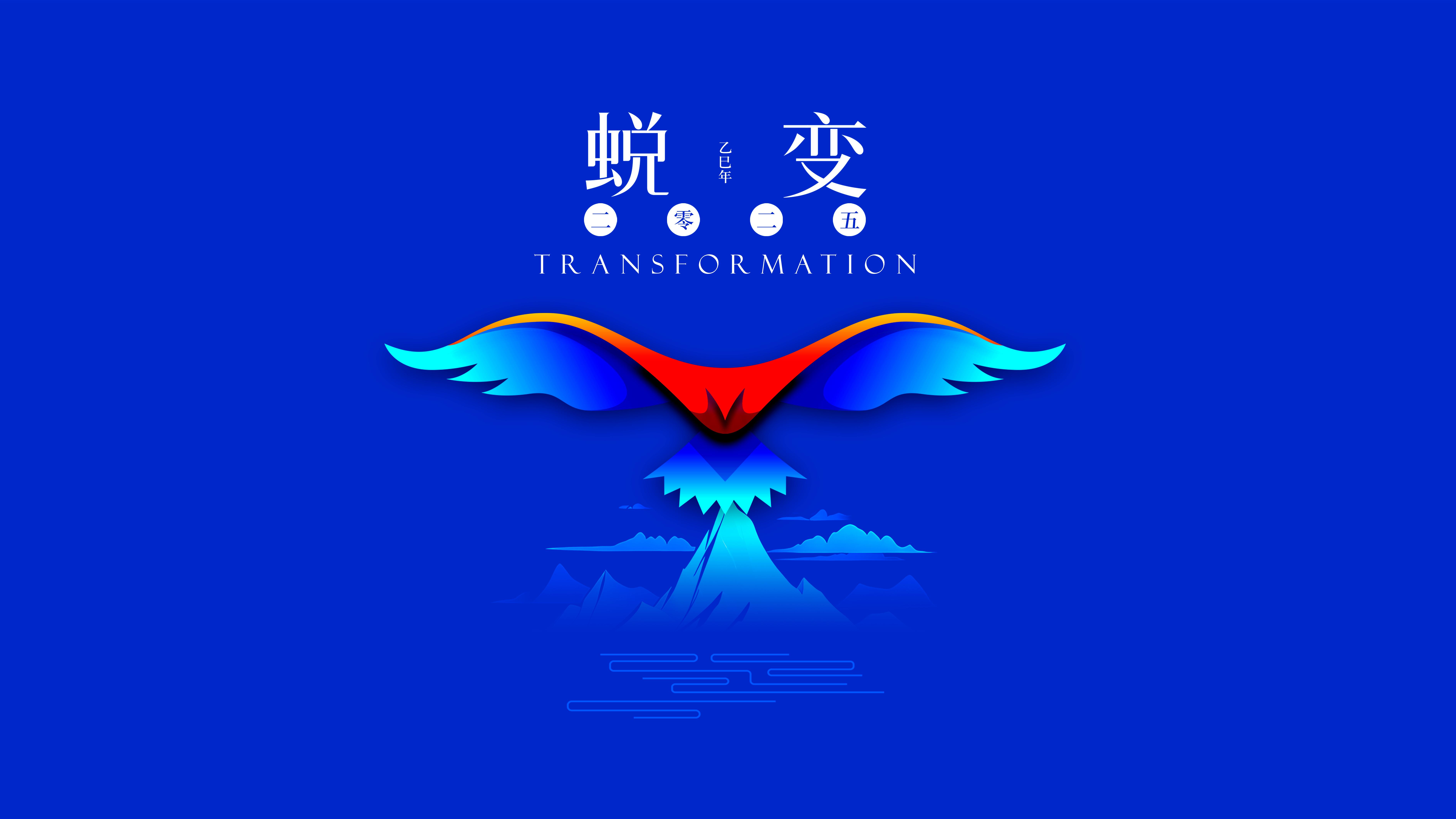 我與海星的2024，期待2025年與您一起續寫(xiě)美好篇章